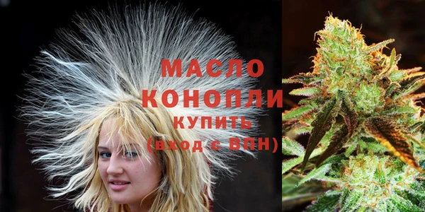 шишки Заводоуковск