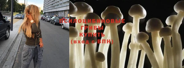 амф Заволжье