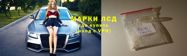 шишки Заводоуковск