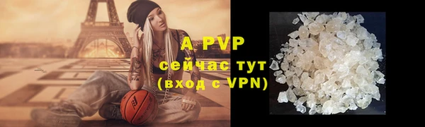 амф Заволжье