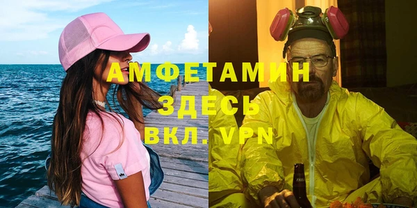 шишки Заводоуковск