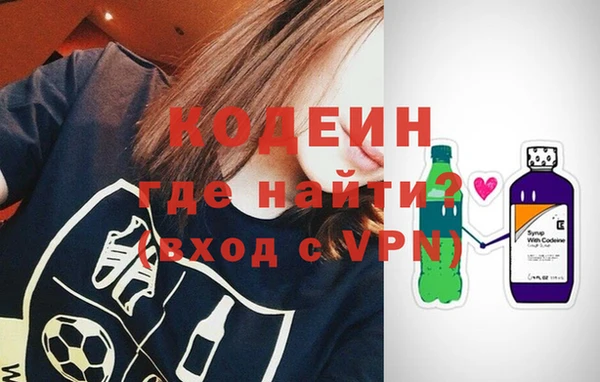 шишки Заводоуковск