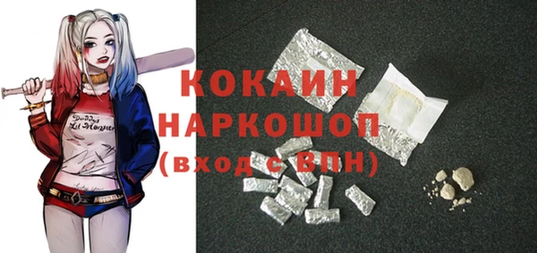 шишки Заводоуковск