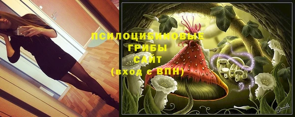 амф Заволжье