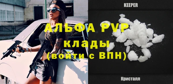 шишки Заводоуковск